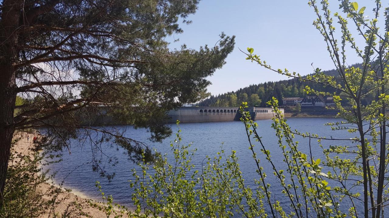 Ferienwohnung Vogelnest Im Schwarzwald Baiersbronn Exteriör bild