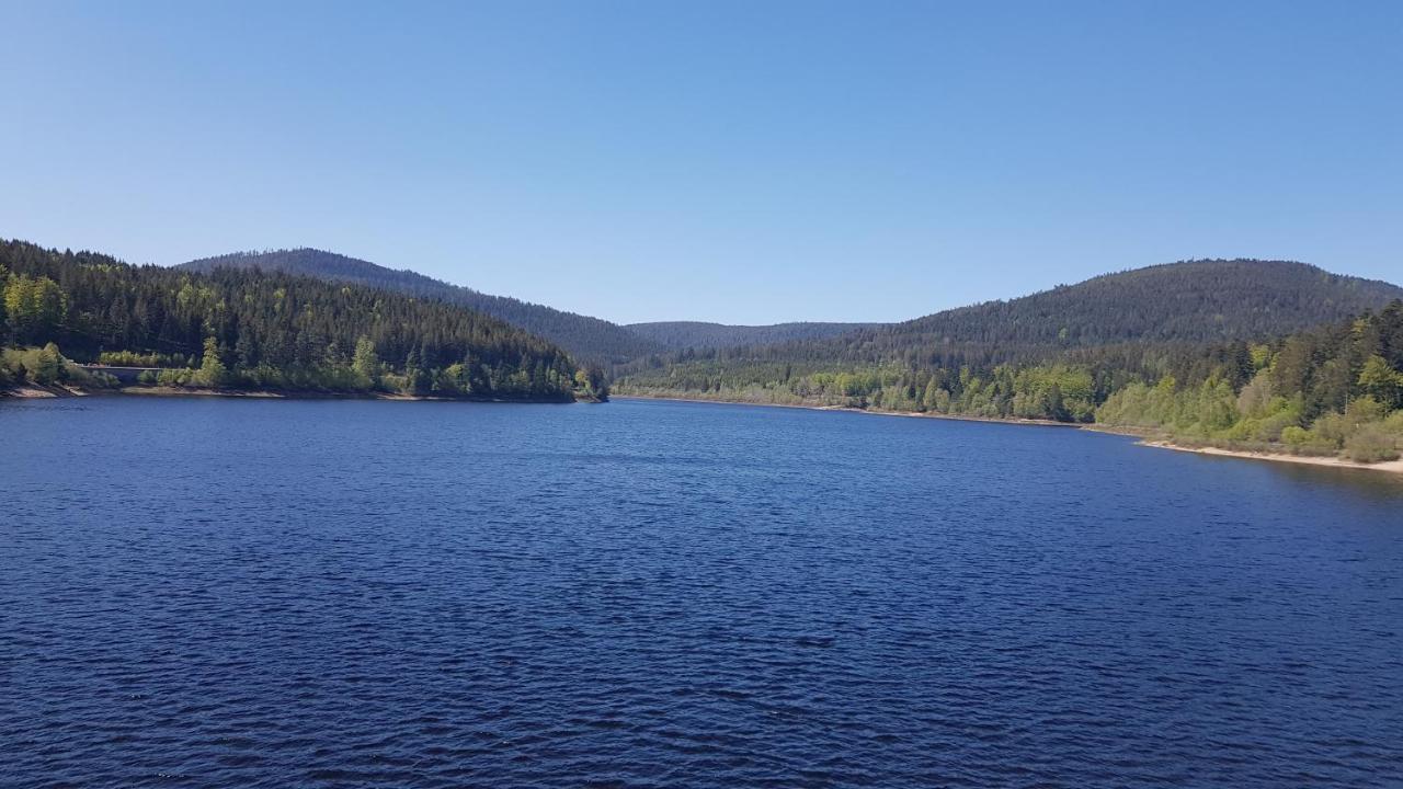 Ferienwohnung Vogelnest Im Schwarzwald Baiersbronn Exteriör bild
