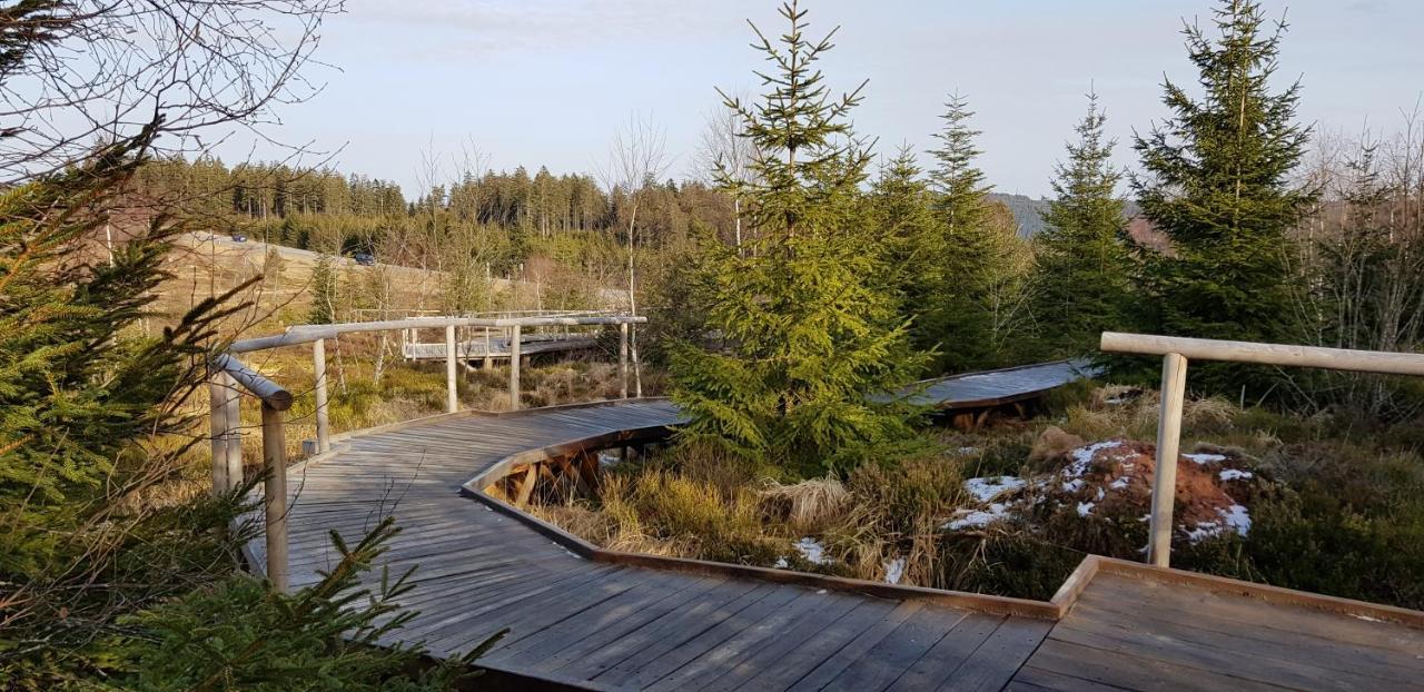 Ferienwohnung Vogelnest Im Schwarzwald Baiersbronn Exteriör bild