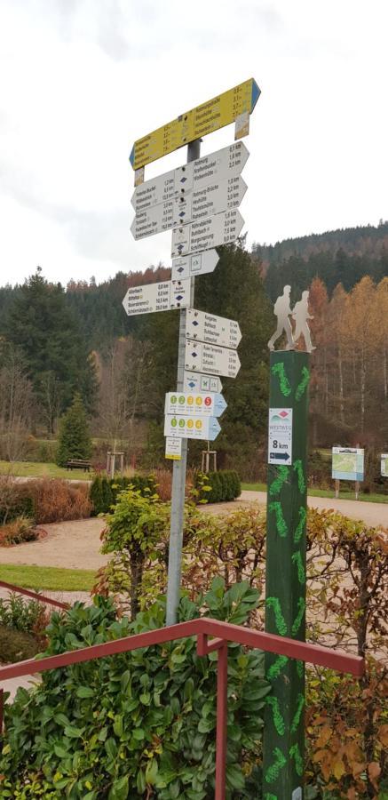 Ferienwohnung Vogelnest Im Schwarzwald Baiersbronn Exteriör bild