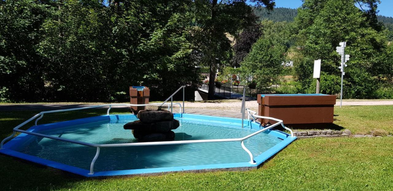 Ferienwohnung Vogelnest Im Schwarzwald Baiersbronn Exteriör bild