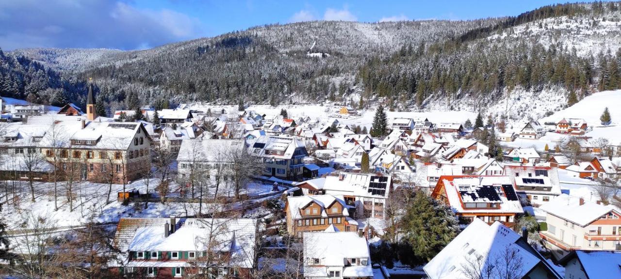 Ferienwohnung Vogelnest Im Schwarzwald Baiersbronn Exteriör bild